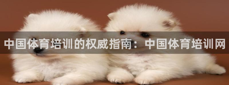 焦点娱乐平台玩法官方导师
