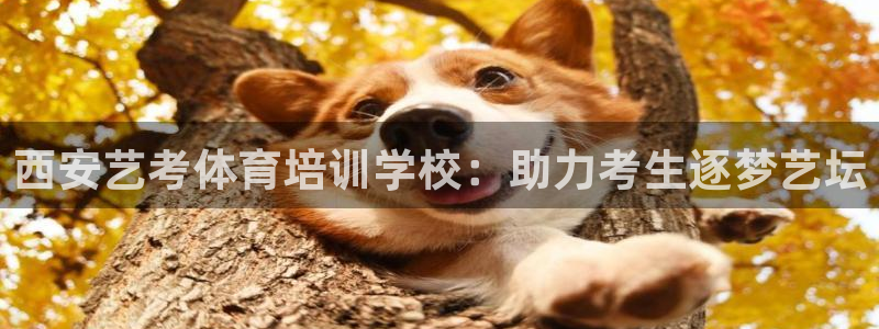 焦点娱乐传媒有限公司招聘要求：西安艺考体育培训学校：