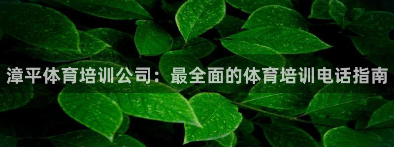 焦点娱乐传媒有限公司怎么样呀：漳平体育培训公司：最全