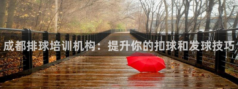 焦点娱乐游戏怎么玩：成都排球培训机构：提升你的扣球和