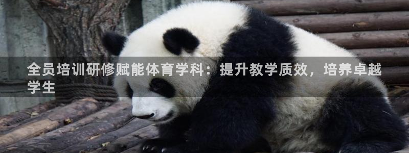 焦点娱乐全国总冠军：全员培训研修赋能体育学科：提升教