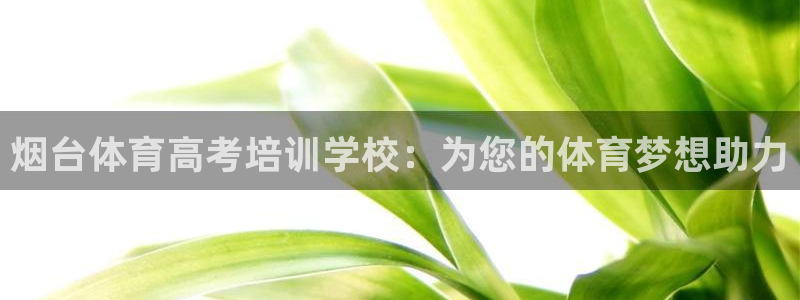 焦点娱乐挂机版下载