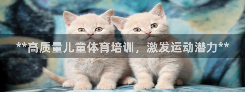 焦点娱乐财神：**高质量儿童体育培训，激发运动潜力*