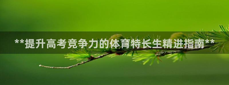 焦点娱乐传媒有限公司怎么样啊赚钱吗：**提升高考竞争