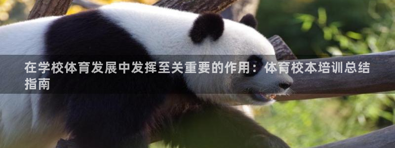 焦点娱乐平台玩法官方导师