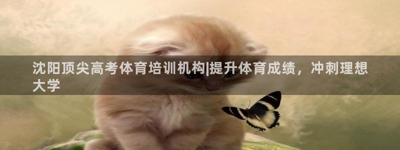 焦点娱乐平台登录不了：沈阳顶尖高考体育培训机构|提升