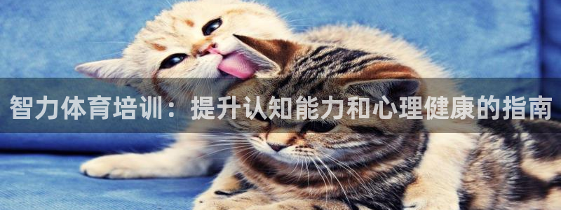 焦点娱乐全国总冠军有哪些：智力体育培训：提升认知能力