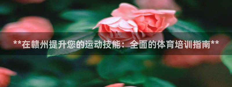 焦点娱乐官方网站下载安装苹果：**在赣州提升您的运动