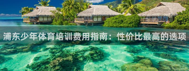 焦点娱乐官网：浦东少年体育培训费用指南：性价比最高的