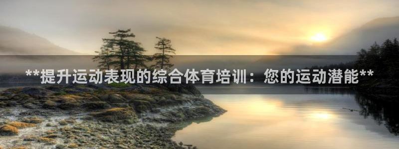 焦点娱乐会所：**提升运动表现的综合体育培训：您的运