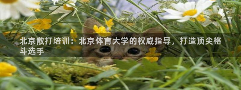 焦点娱乐app下载安装苹果：北京散打培训：北京体育大