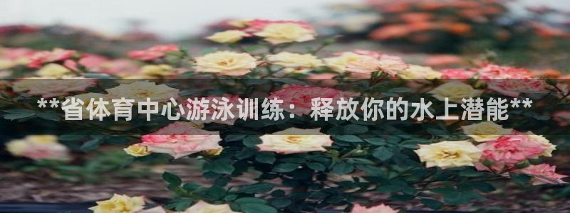 焦点娱乐平台注册账号是什么：**省体育中心游泳训练：