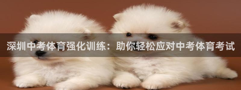 焦点娱乐官方网站下载手机版安装：深圳中考体育强化训练