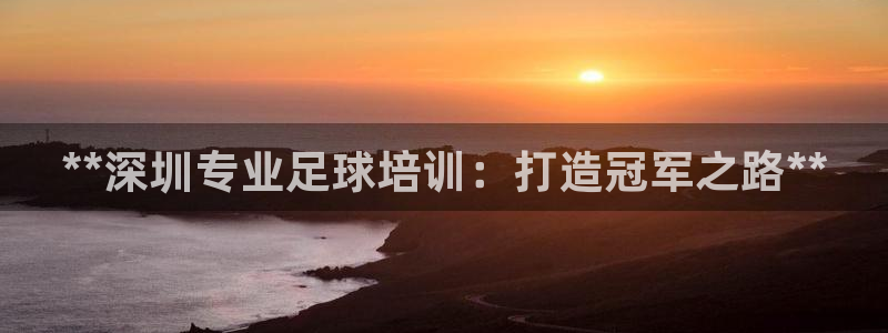 焦点娱乐官网首页：**深圳专业足球培训：打造冠军之路
