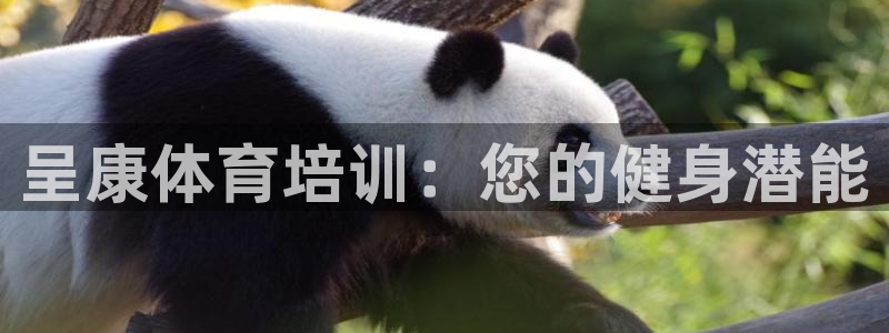 焦点娱乐App下载：呈康体育培训：您的健身潜能