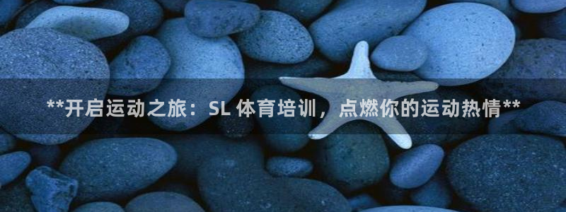 焦点娱乐有限公司：**开启运动之旅：SL 体育培训，