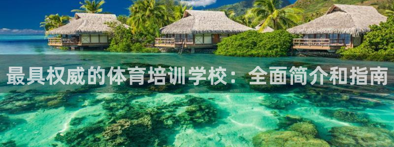 焦点娱乐公司官网：最具权威的体育培训学校：全面简介和