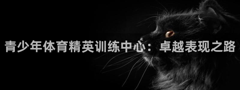 焦点娱乐平台客服热线：青少年体育精英训练中心：卓越表