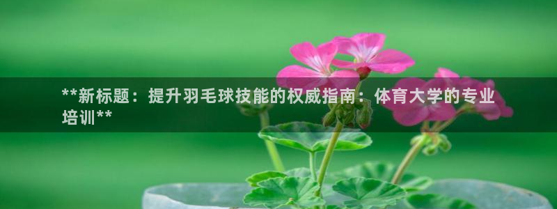 焦点娱乐平台客服电话号码是多少：**新标题：提升羽毛球技能的