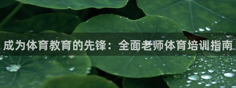 焦点娱乐游戏怎么玩的：成为体育教育的先锋：全面老师体