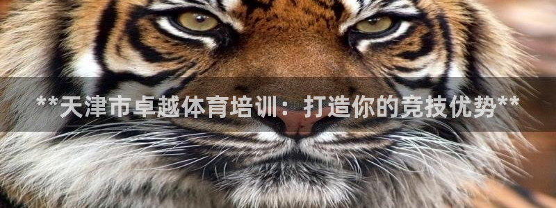 焦点娱乐是哪个公司的：**天津市卓越体育培训：打造你
