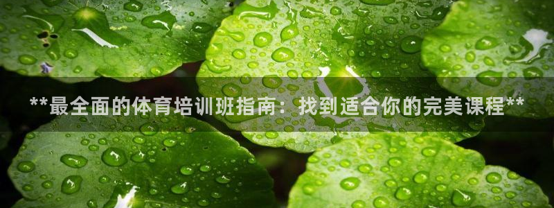 焦点娱乐软件版本区别：**最全面的体育培训班指南：找