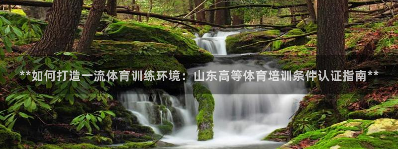 焦点娱乐怎么找不到了