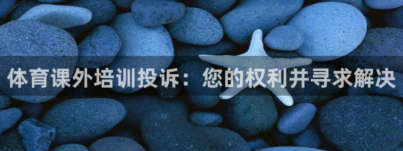 焦点娱乐怎么找导师：体育课外培训投诉：您的权利并寻求