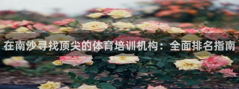 焦点娱乐跨服怎么玩：在南沙寻找顶尖的体育培训机构：全