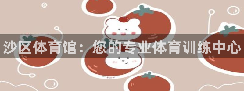 焦点娱乐传媒：沙区体育馆：您的专业体育训练中心