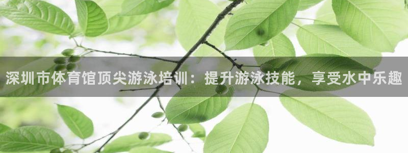 焦点娱乐传媒有限公司官网