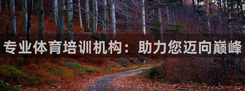 焦点娱乐总代理在哪：专业体育培训机构：助力您迈向巅峰