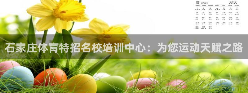 焦点娱乐游戏