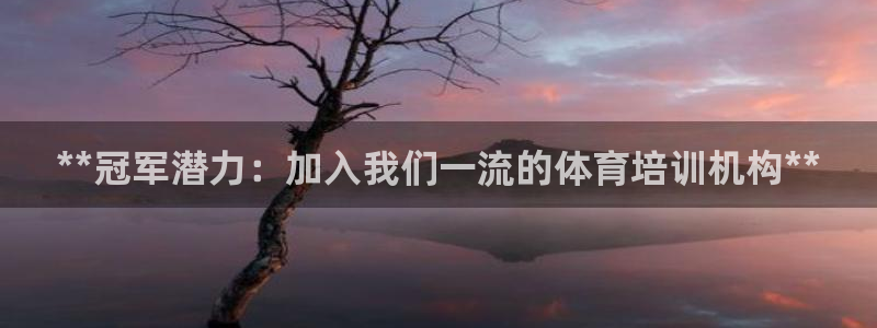 焦点娱乐是拉菲公司的吗知乎