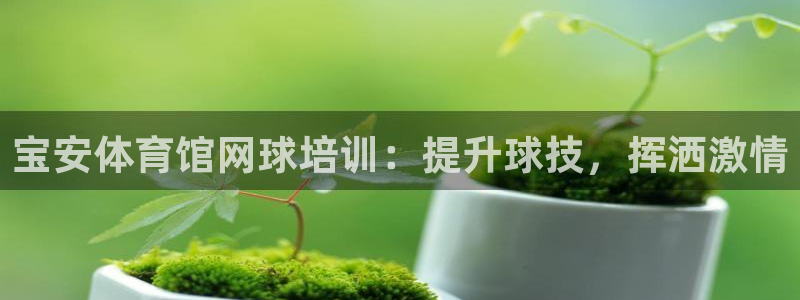 焦点娱乐平台登录不了了：宝安体育馆网球培训：提升球技，挥洒激