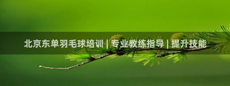 焦点娱乐app下载官网：北京东单羽毛球培训 | 专业教练指导