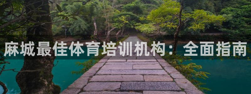 焦点娱乐app下载安装苹果：麻城最佳体育培训机构：全面指南