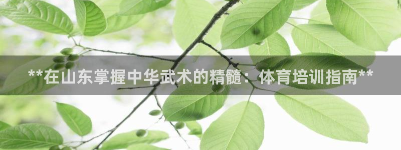 焦点娱乐平台章7O777：**在山东掌握中华武术的精髓：体育