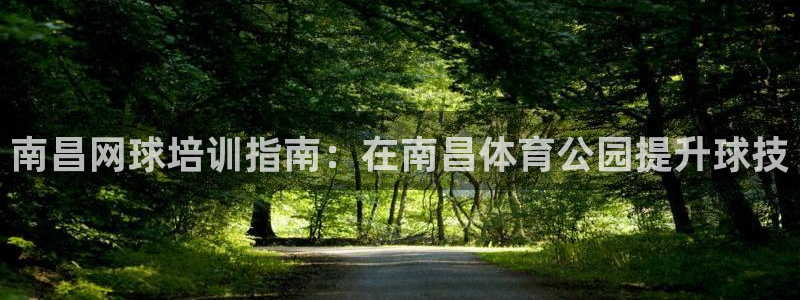 焦点娱乐怎么找客服：南昌网球培训指南：在南昌体育公园