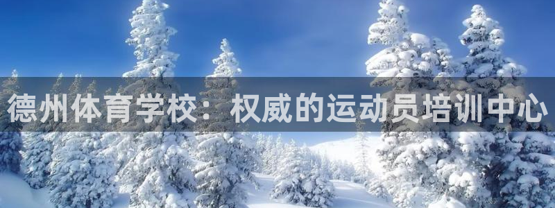 焦点娱乐议 411o31 娱乐
