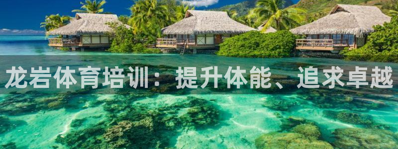焦点娱乐官方网站下载安装：龙岩体育培训：提升体能、追