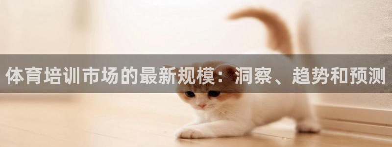 焦点娱乐挂机：体育培训市场的最新规模：洞察、趋势和预