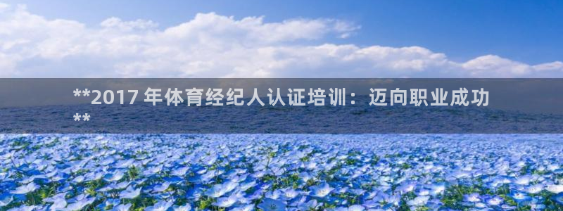 焦点娱乐平台登录不了了：**2017 年体育经纪人认