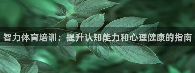 焦点娱乐跨服：智力体育培训：提升认知能力和心理健康的