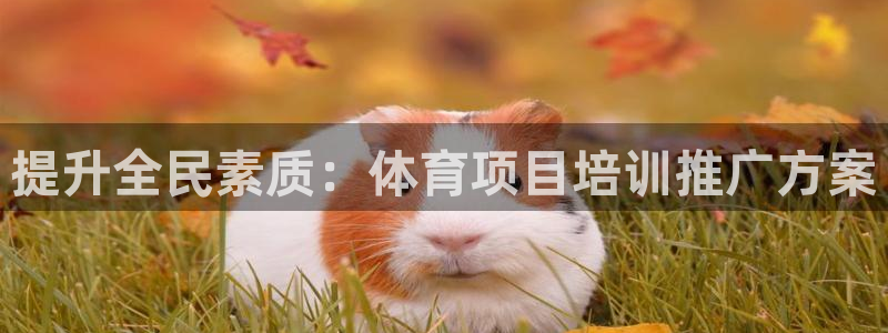 焦点娱乐是拉菲公司的吗知乎：提升全民素质：体育项目培