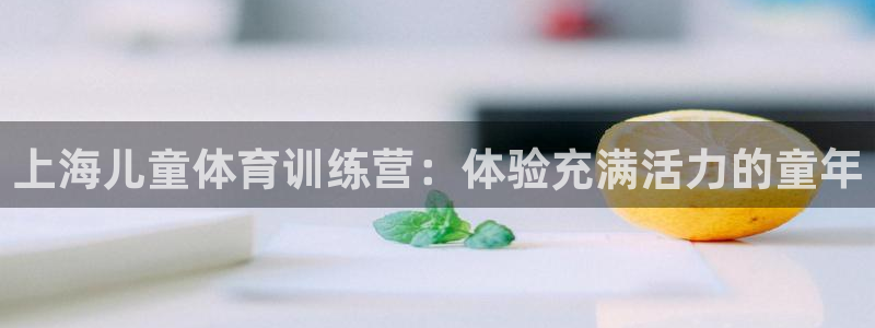 焦点娱乐传媒有限公司是干嘛的公司：上海儿童体育训练营
