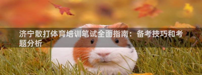 焦点娱乐平台续7O777：济宁散打体育培训笔试全面指