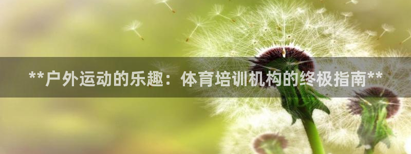 焦点娱乐拉菲：**户外运动的乐趣：体育培训机构的终极