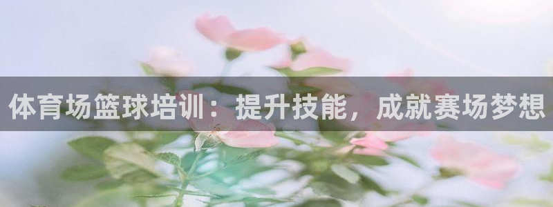 焦点娱乐官方网站下载安装苹果：体育场篮球培训：提升技