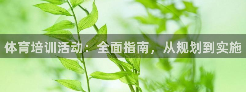 焦点娱乐下载手机版安装：体育培训活动：全面指南，从规